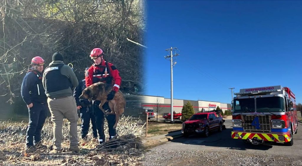 BUENA NOTICIA en Estados Unidos: equipos RESCATAN perro varado en un río detrás de un local de Costco